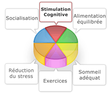 Key contributors to Brain Health Key contributors to Brain Health