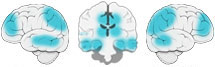 Fonction Cognitive Exercée