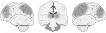 Fonction Cognitive Exercée