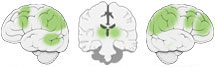 Fonction Cognitive Exercée