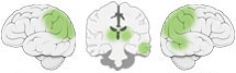 Fonction Cognitive Exercée