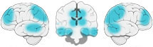 Fonction Cognitive Exercée