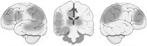 Fonction Cognitive Exercée