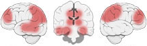 Fonction Cognitive Exercée