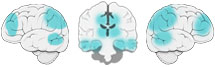 Fonction Cognitive Exercée