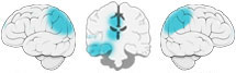 Fonction Cognitive Exercée