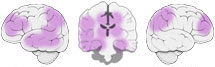 Fonction Cognitive Exercée