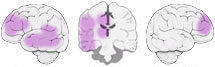 Fonction Cognitive Exercée