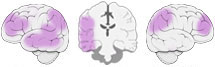 Fonction Cognitive Exercée