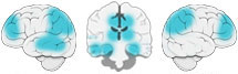 Fonction Cognitive Exercée