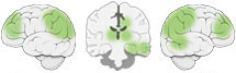 Fonction Cognitive Exercée