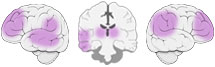 Fonction Cognitive Exercée