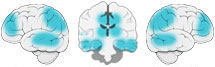 Fonction Cognitive Exercée