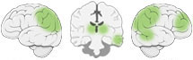 Fonction Cognitive Exercée