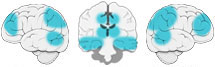 Fonction Cognitive Exercée