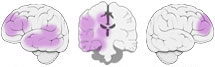 Fonction Cognitive Exercée