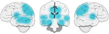 Fonction Cognitive Exercée