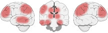 Fonction Cognitive Exercée