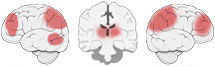 Fonction Cognitive Exercée