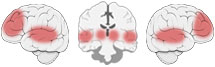 Fonction Cognitive Exercée