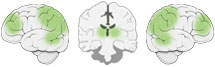 Fonction Cognitive Exercée