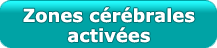 Fonction Cognitive Exercée