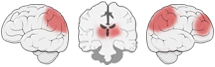 Fonction Cognitive Exercée