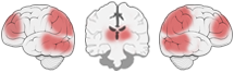 Fonction Cognitive Exercée