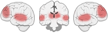 Fonction Cognitive Exercée