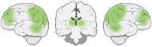 Fonction Cognitive Exercée