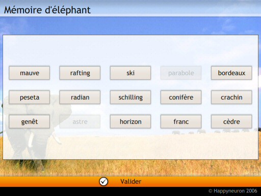 Capture d'écran : Mémoire d'éléphant