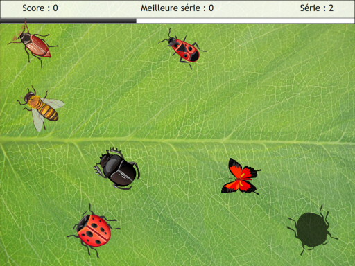 Capture d'écran : Attrapez la coccinelle !