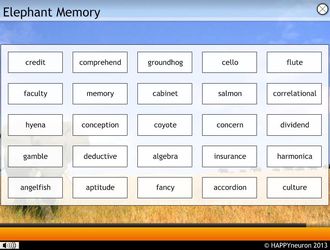 Elephant Memory